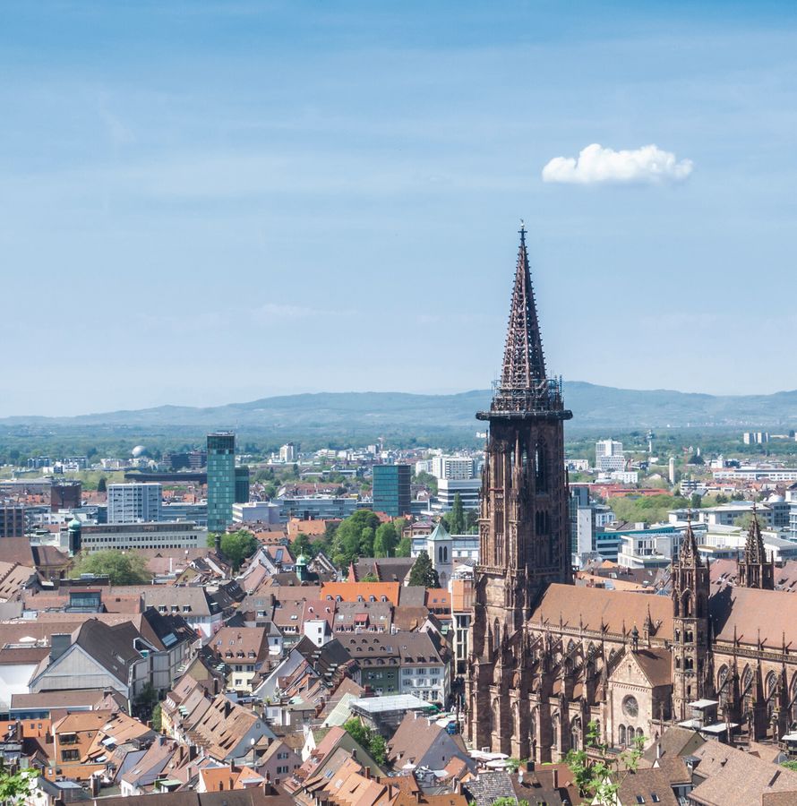 Stadtführer Freiburg: Blick auf die Stadt 